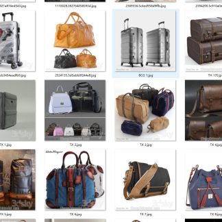 Backpack, Handbag, Satchel, Luggage 3D Model Collection