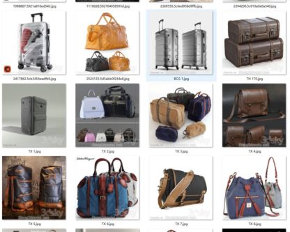 Backpack, Handbag, Satchel, Luggage 3D Model Collection
