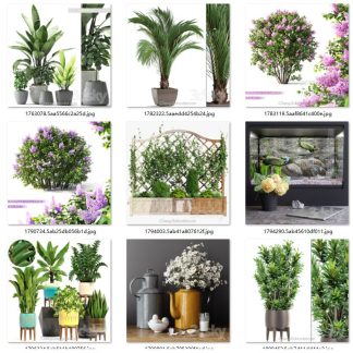 Pro Models 147 Plants Set