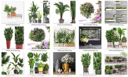 Pro Models 147 Plants Set