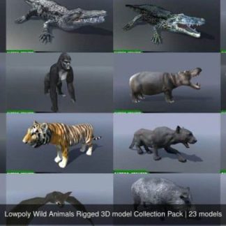 LOWPOLY WILD ANIMALS RIGGED 3D MODEL COLLECTION PACK