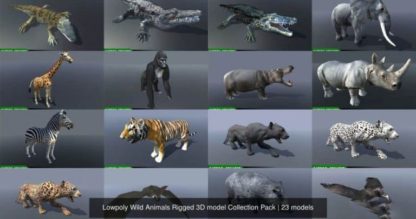 LOWPOLY WILD ANIMALS RIGGED 3D MODEL COLLECTION PACK
