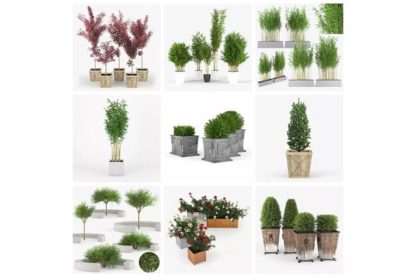 32 Set Plants 3D-Models Collection