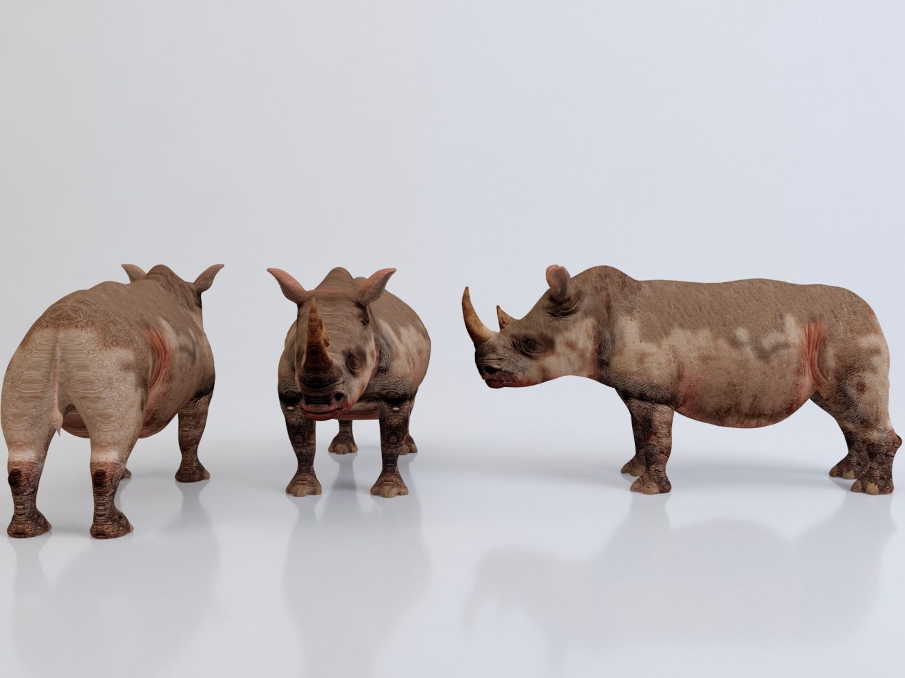 can you download rhinoceros 3d reddit