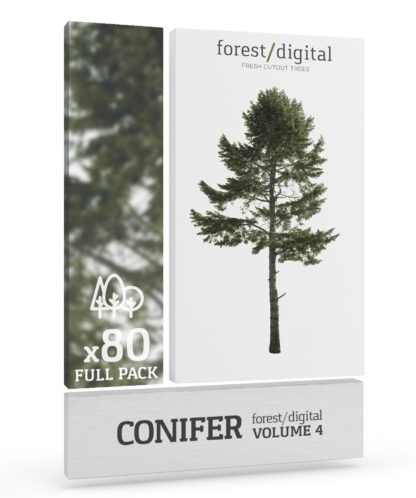 ForestDigital vol. 4 – Conifer trees