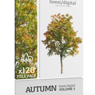 ForestDigital vol. 5 - Autumn trees