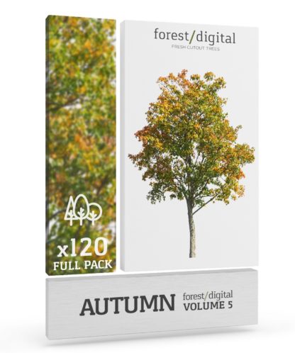 ForestDigital vol. 5 - Autumn trees