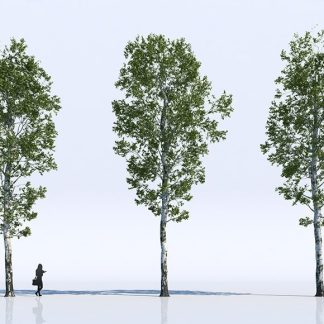 Free-3d-models-trees-gallery-1