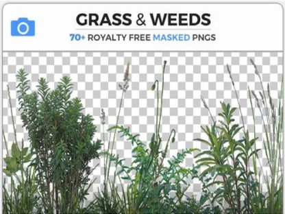 PhotoBash – Grass And Weeds