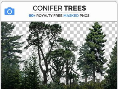 Photobash – Conifer Trees