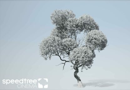 SpeedTree v8.4.2