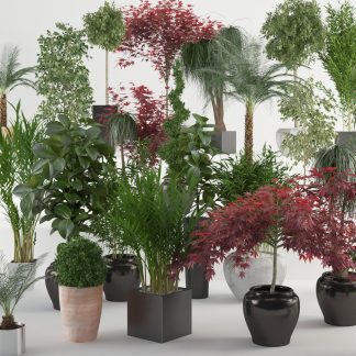 VIZPARK Interior Plants for 3ds Max