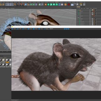 Gumroad – Create Fur with Cinema 4D