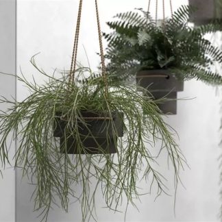 Hanging Pots with Plants 3D model
