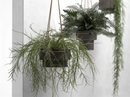 Hanging Pots with Plants 3D model