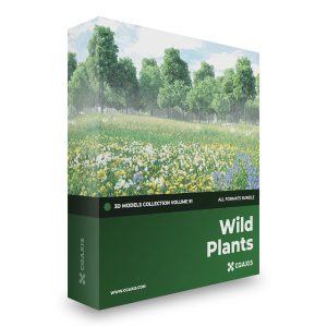 CGAxis Models Volume 91 Wild Plants