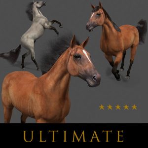 Ultimate Horse Collection - 3d model