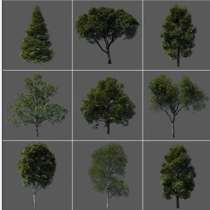 Vargov - 3D Models Tree