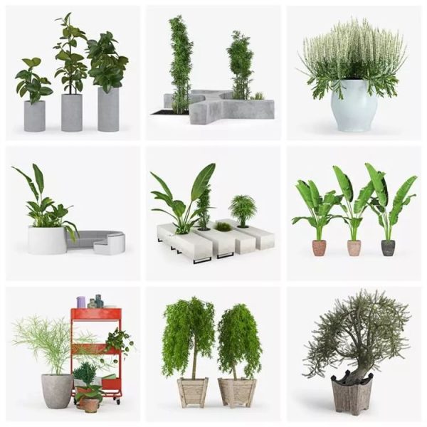 –25 Set Plants 3D-Models Collection