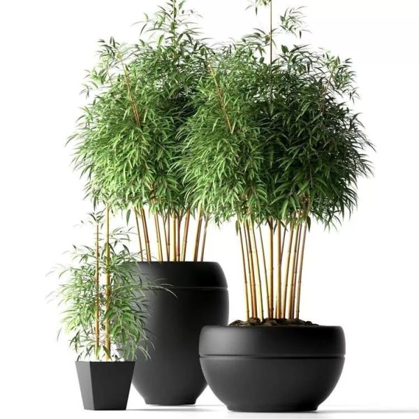 10 Set Plants 3D Models Collection