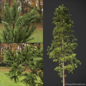 pine-tree-geopattern-cgmood