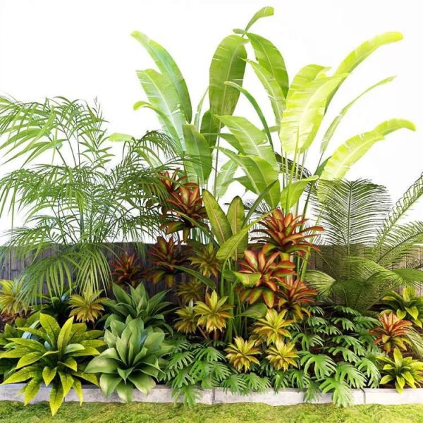 Plants 3D-Models Collection